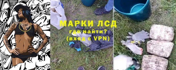 СК Абинск