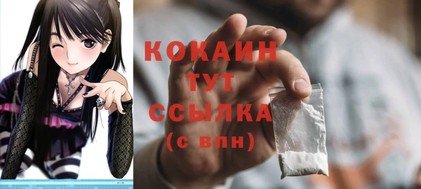 прущие грибы Абаза