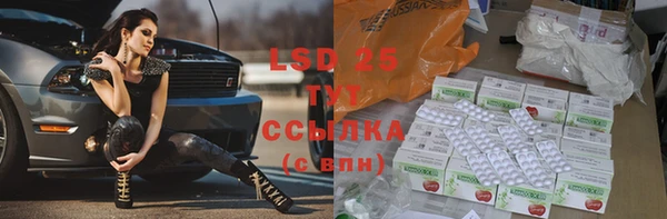 прущие грибы Абаза