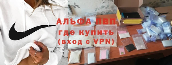 прущие грибы Абаза