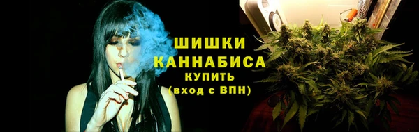 прущие грибы Абаза
