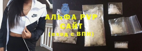 прущие грибы Абаза