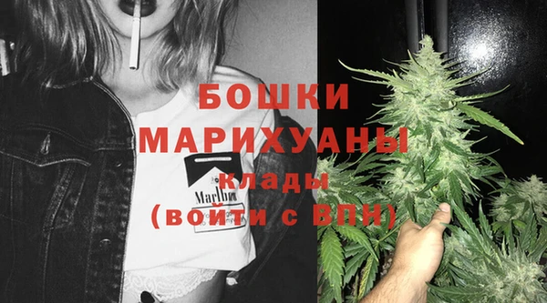 прущие грибы Абаза