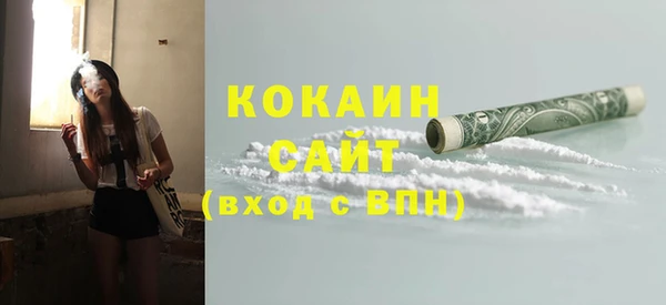 прущие грибы Абаза