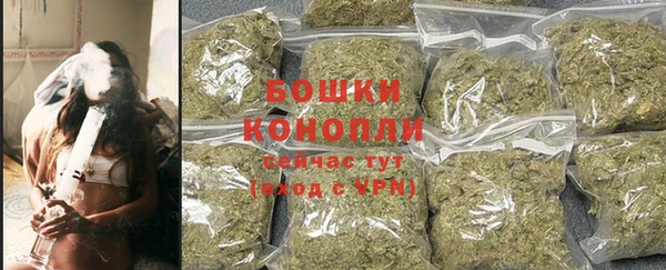прущие грибы Абаза
