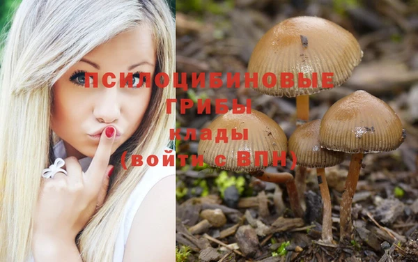 сатива Алзамай