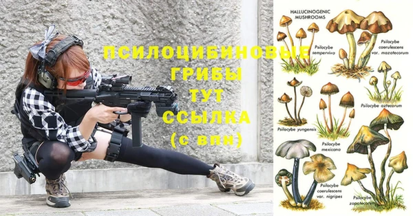 прущая мука Нефтекумск
