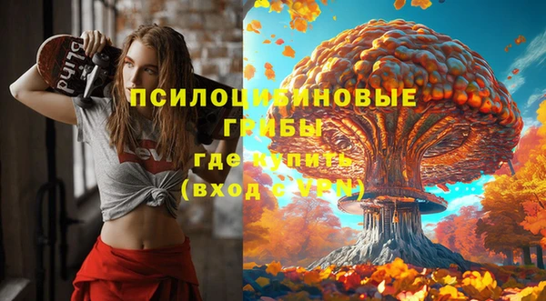 прущие грибы Абаза