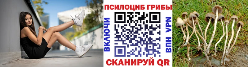 Галлюциногенные грибы GOLDEN TEACHER  Починок 